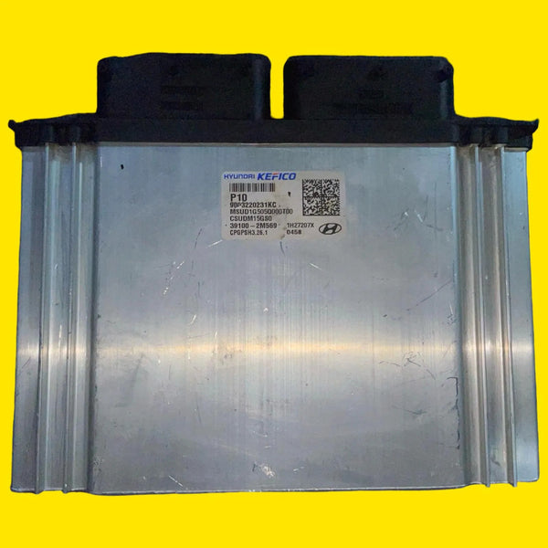 Computadora Motor Hyundai Creta Usado Orig. 22-25 391002m569