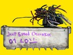 Computadora Tcm Jeep Grand Cherokee Orig. 2001 R60411504ag