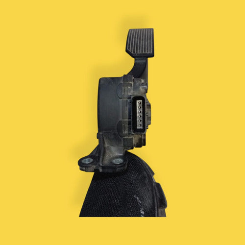 Pedal Acelerador Sentra, Altima, Maxima Usado Original 00-06