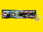 Modulo Bcm Body Control Chevrolet/gmc/buick 08-13 13574844
