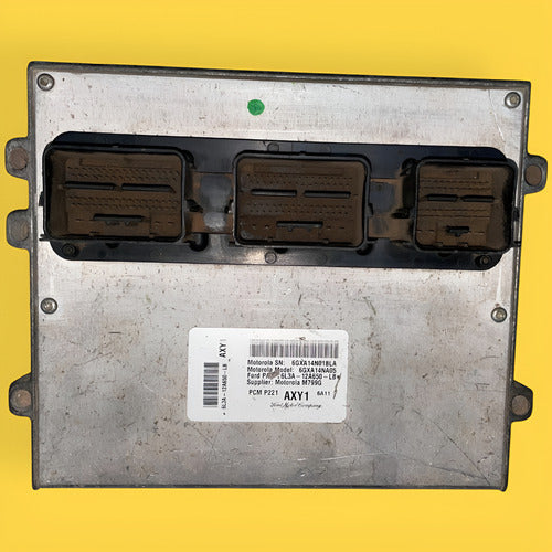 Computadora Motor Ford Lobo/f150 4.6 Autm. Usado Orig. 05-06