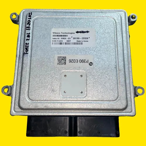 Computadora Motor Forte 2.0 Usado Orig. 17-20 391992e026