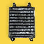 Computadora Motor Trail Blazer/envoy 4.2 02-09 Usado Origina