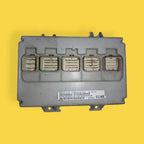 Modulo Bcm Caravan/voyager/town&country Usado Original 06-07