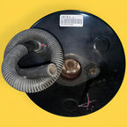 Booster Frenos Ford Focus 2.0 Usado Original 08-11