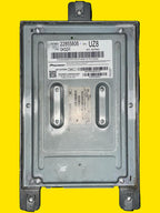 Amplificador Equinox, Terrain Usado Original 10-17 22855806 Negro