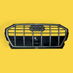 Parrilla Audi Q5, 20-23 Original Brillante