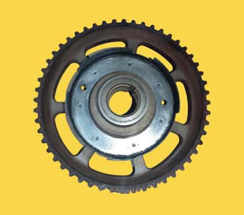 Engrane Árbol De Levas Para Vw Jetta A4 Usado Original 99-06