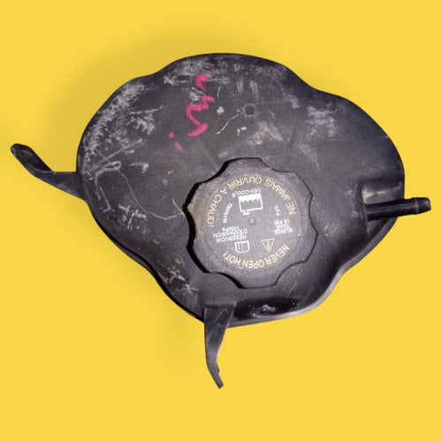 Deposito Anticongelante Terrain/equinox Usado Original 12-17