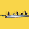 Riel De Inyectores Honda Odyssey Usado Original 05-10