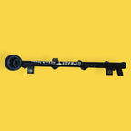 Riel Inyectores Renault Megane2, Scenic 2.0 Usado Orig 02-09