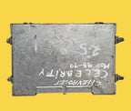 Computadora Chevrolet Celebrity/cava 2.895-99 Usado Original