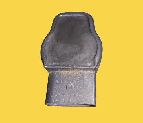 Bobina Encendido Para Volkswagen Tiguan 07-18 Usado Original